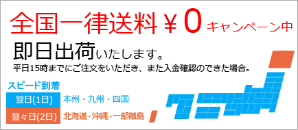 全国送料無料の即日出荷